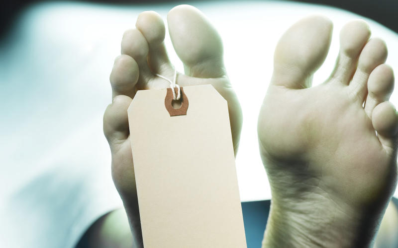 11H à la morgue