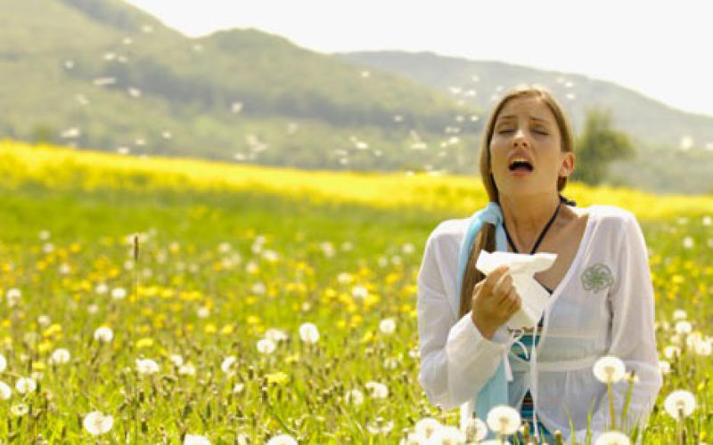 Alerte aux pollens en Lorraine