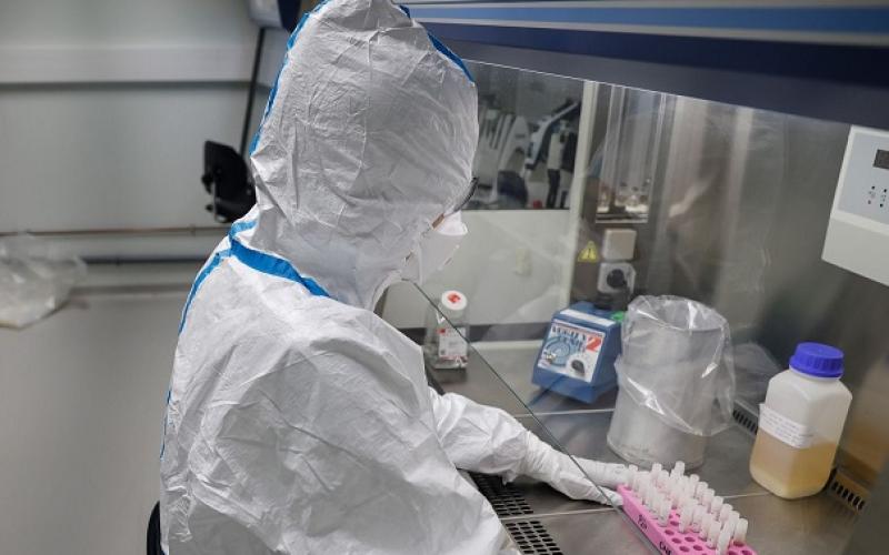Coronavirus : les informations à retenir pour le Grand-Est en ce vendredi