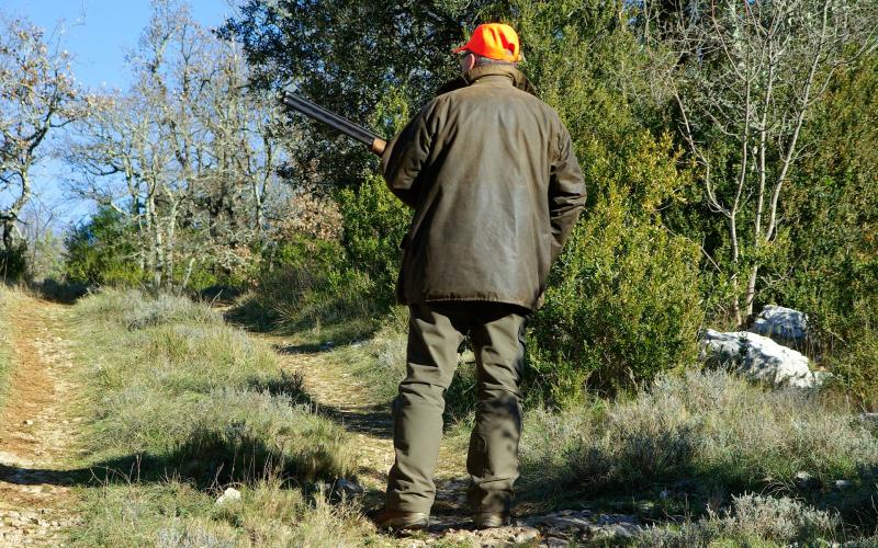Gondreville : un chasseur tue un camarade par accident
