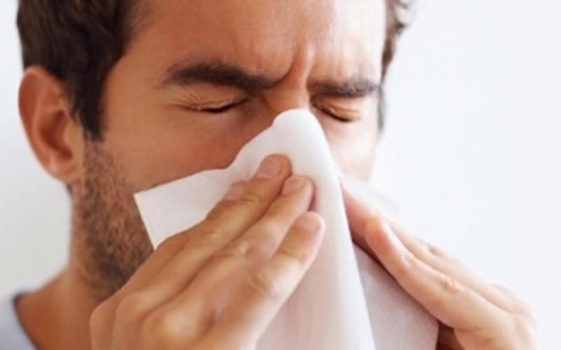 La Lorraine touchée par un risque élevé d’allergies pour les pollens de bouleaux