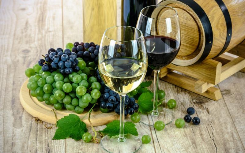 Le vignoble mosellan arrive à maturité, 10 ans après son AOC