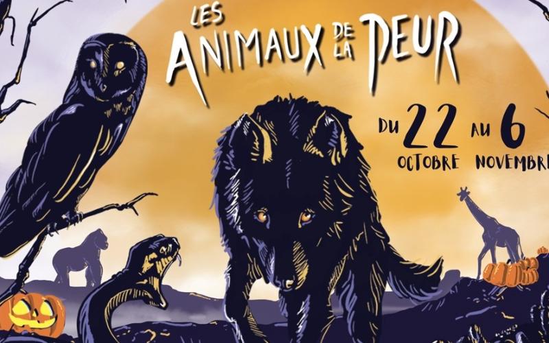 Les animaux de la peur débarquent au Zoo d'Amnéville !