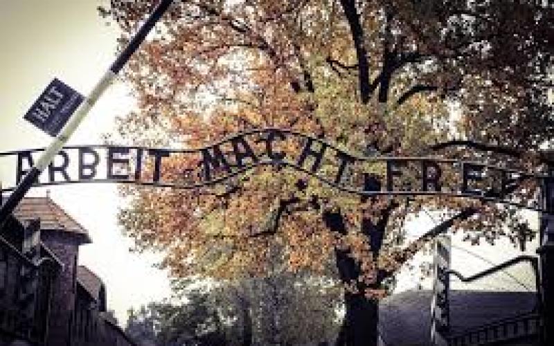 Libération d'Auschwitz : 70 ans après