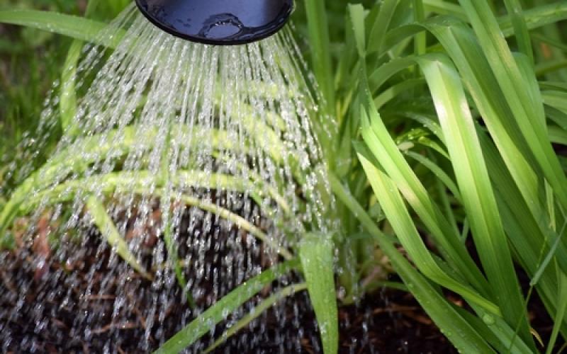 Limitation des usages de l'eau en Moselle 