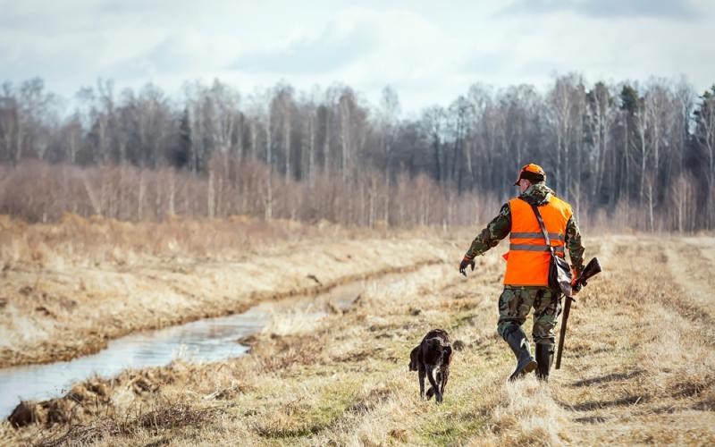Menskirch : un chasseur blessé par balle
