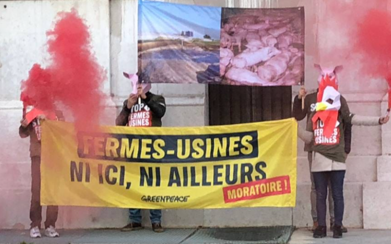 Metz : manifestation de Greenpeace devant la Préfecture