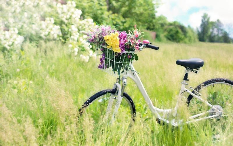 Metz :  quand la campagne s’invite en ville ! 