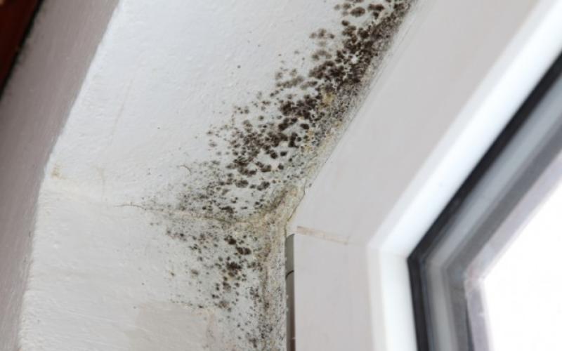 Metz : une dame entame une grève de la faim pour avoir un logement digne