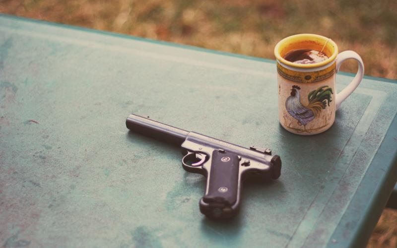 Moselle : plus de 1300 armes détenues, abandonnées