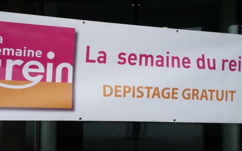 Semaine Nationale du Rein : informations et dépistages gratuits