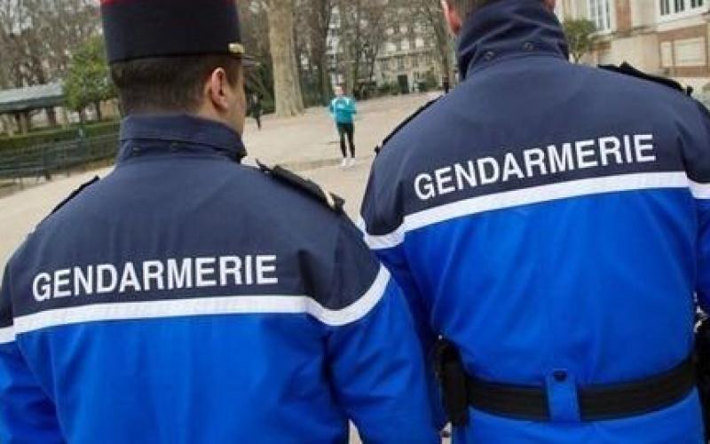 Toul : découverte macabre dans la forêt de Haye