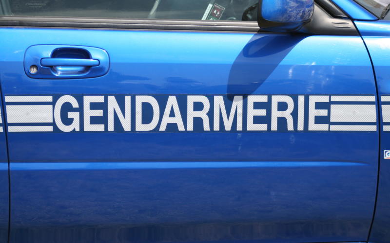Vosges : interpellé pour avoir frappé sa compagne à coups de marteau