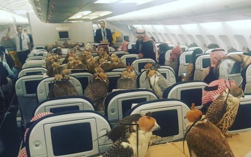 Vous ne devinerez jamais pour quoi ce prince saoudien a réservé un avion...