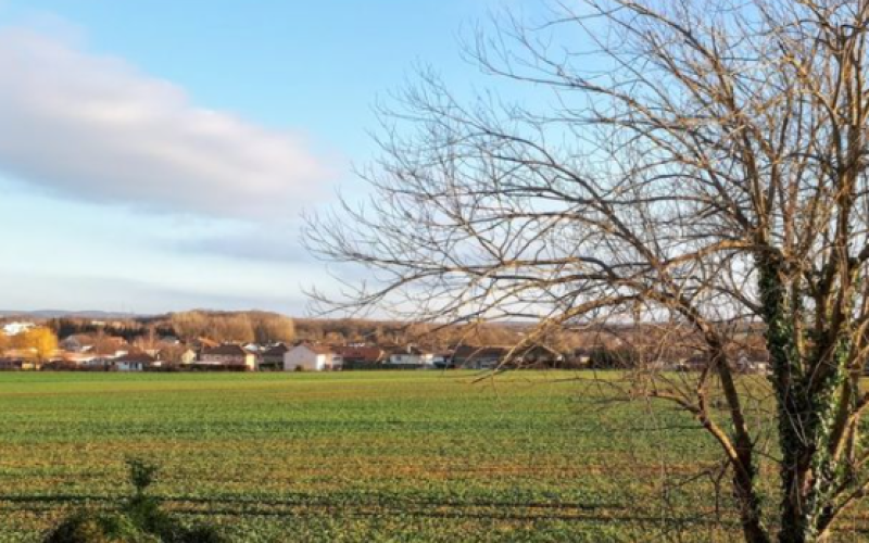 Yutz : Le projet de lotissement du « Domaine des Bois » annulé par la Justice