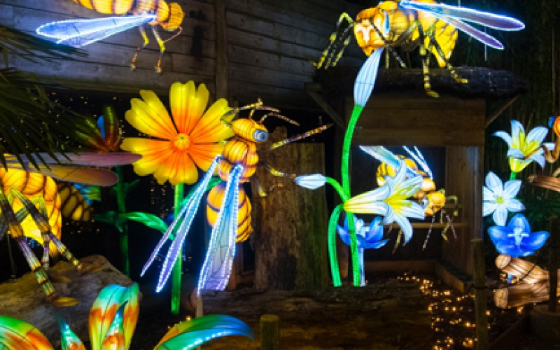 Zoo d'Amnéville : découvrez Luminescences !