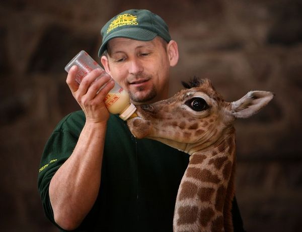 1er forum des métiers animaliers au Zoo d'Amnéville