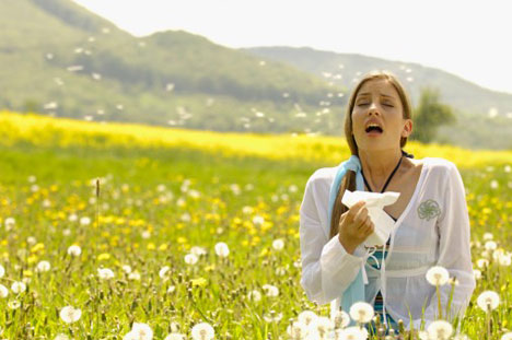 Alerte aux pollens en Lorraine