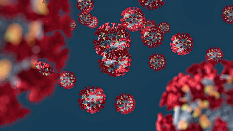Coronavirus : le point à ce jour