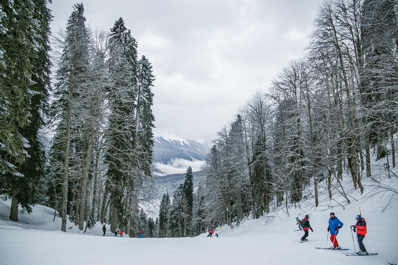Dérèglement climatique : comment se réinventent les stations de ski des Vosges ?