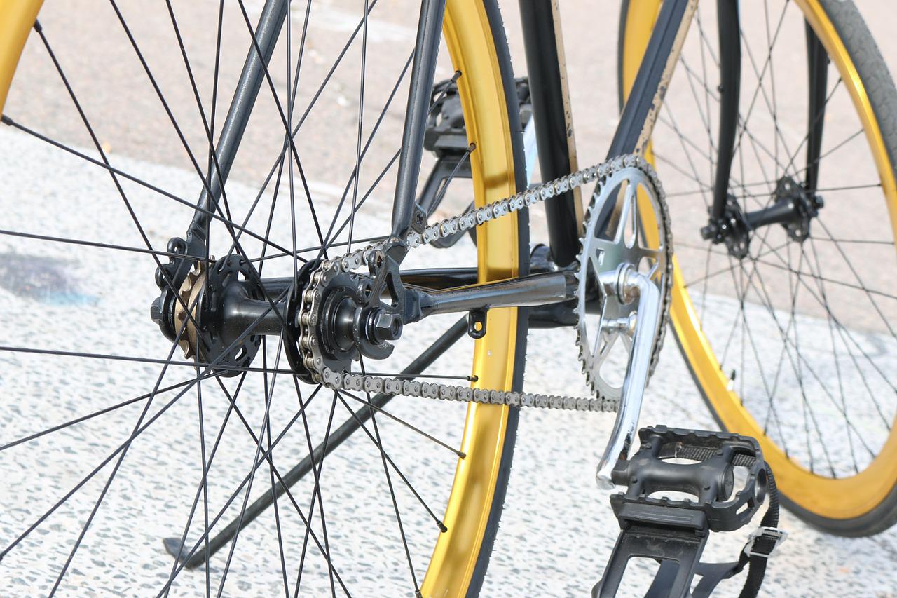 Des bibliothécaires font le tour de la région et du Luxembourg, à vélo