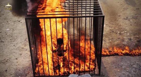 Fox News diffuse les images de l'exécution de l'otage jordanien