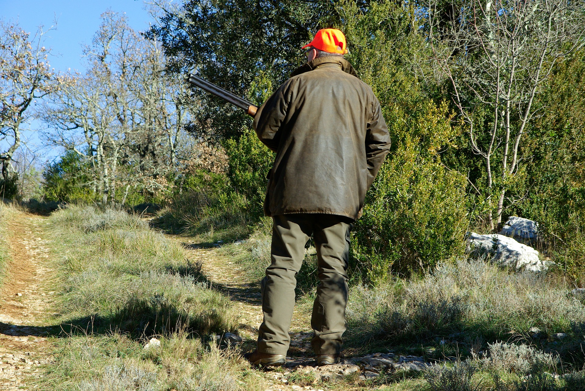 Gondreville : un chasseur tue un camarade par accident