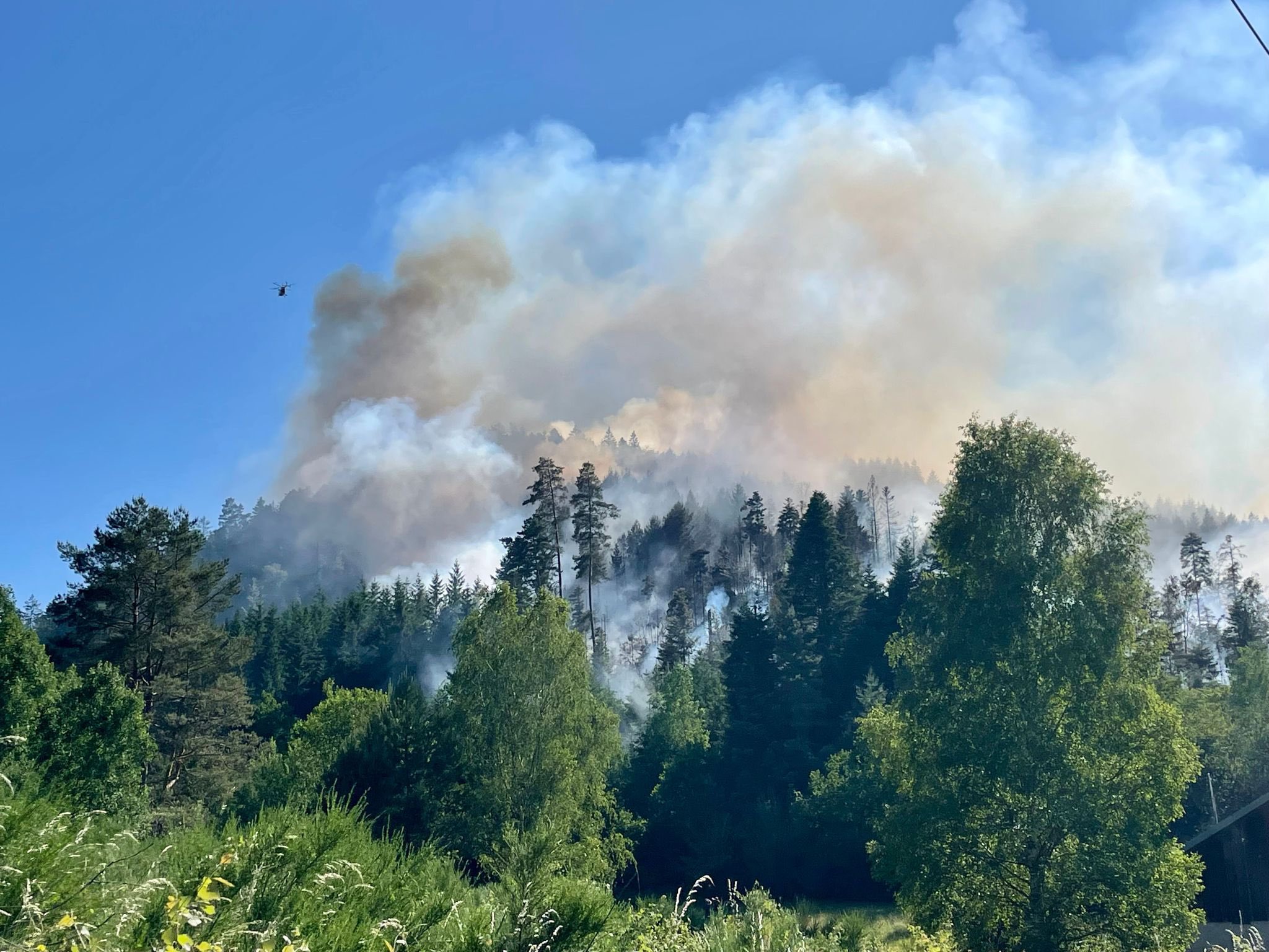 Incendie dans les Vosges : plus de 30 hectares détruits à Bois-le-Champ