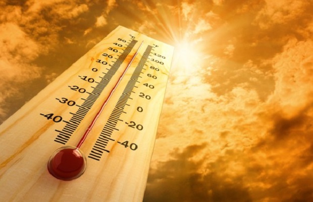 La canicule de ces dernières semaines aurait fait 700 décès de plus qu'en période normale