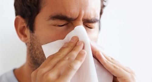 La Lorraine touchée par un risque élevé d’allergies pour les pollens de bouleaux