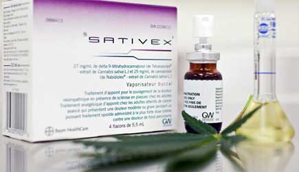 Le Luxembourg va légaliser le cannabis thérapeutique