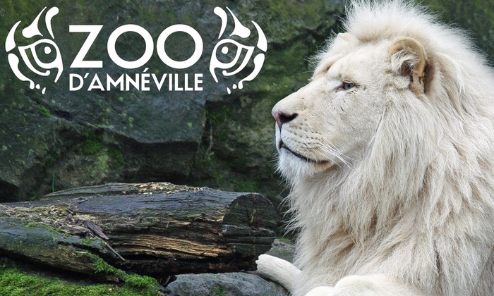 Le Zoo d'Amnéville compte sur le volet judiciaire pour rebondir