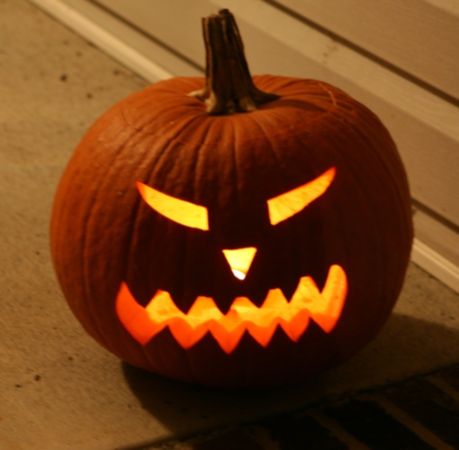 Le zoo d'Amnéville fête Halloween avec les plus petits !