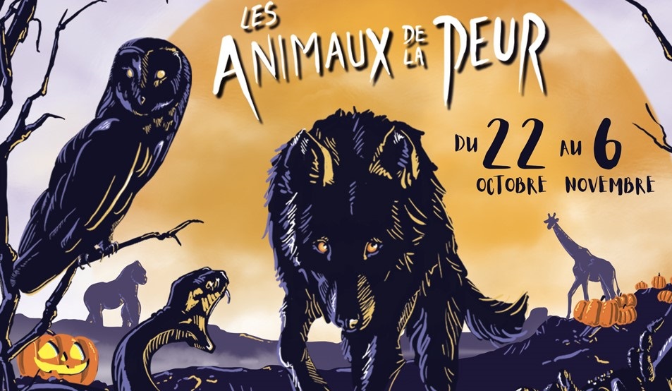 Les animaux de la peur débarquent au Zoo d'Amnéville !