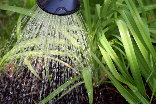 Limitation des usages de l'eau en Moselle