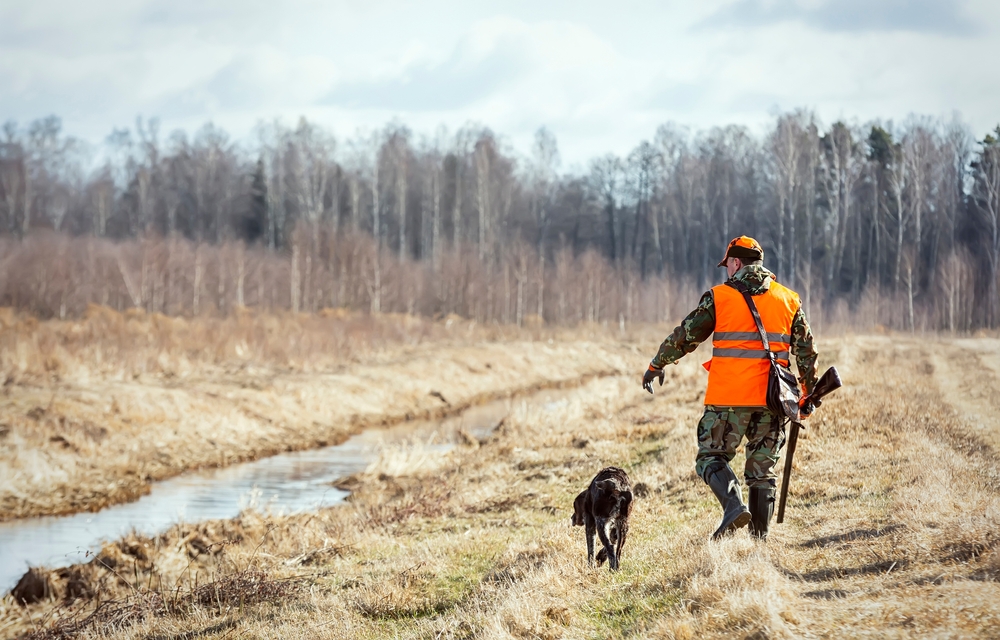 Menskirch : un chasseur blessé par balle