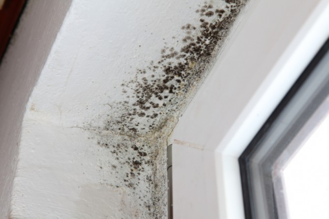 Metz : une dame entame une grève de la faim pour avoir un logement digne