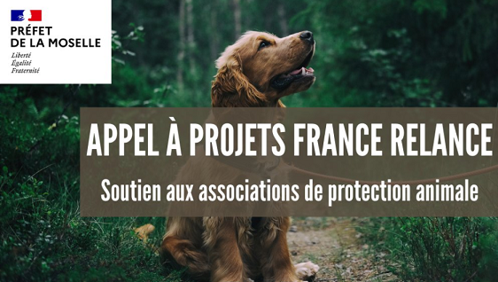 Moselle : une enveloppe de 50 000 euros pour la protection animale