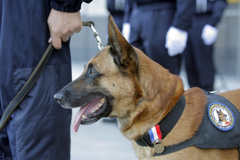 Neuves-Maisons : joli coup de filet pour les gendarmes