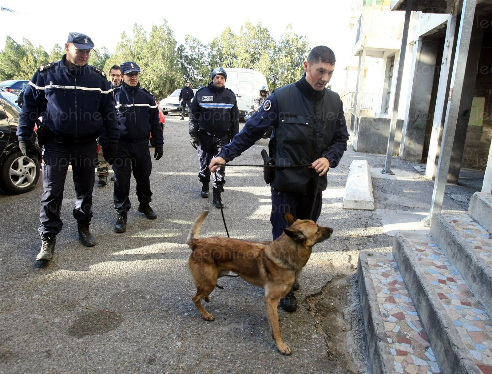 Nord-Mosellan : 5 trafiquants de drogue interpellés