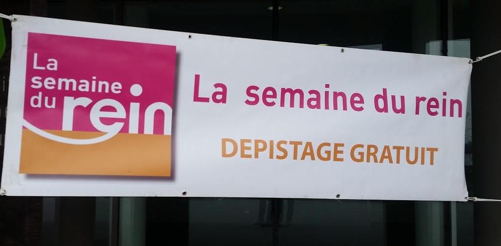 Semaine Nationale du Rein : informations et dépistages gratuits