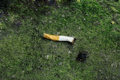 Thionville : opération de nettoyage des rues ce dimanche par les "CleanWalkers"