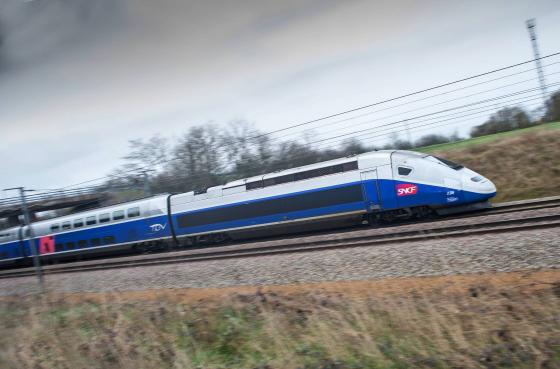 Un TGV percute un troupeau de moutons et bloque le trafic