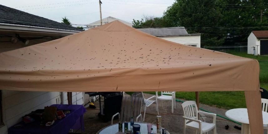 Une fête d'anniversaire gâchée par une "pluie" surprise