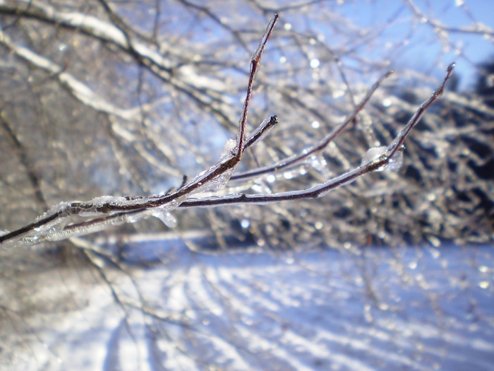 Vague de froid : des températures ressenties allant de -15 à - 20°C  !