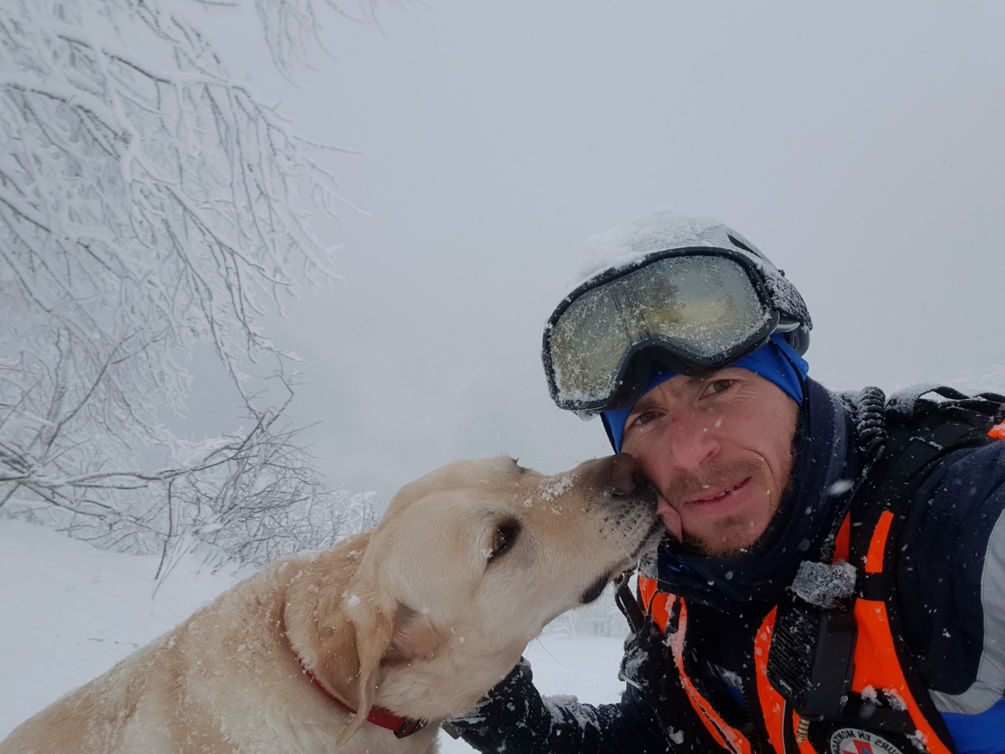 Vosges : un chien sauvé par les gendarmes après une chute de 150 m