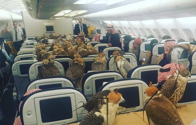 Vous ne devinerez jamais pour quoi ce prince saoudien a réservé un avion...