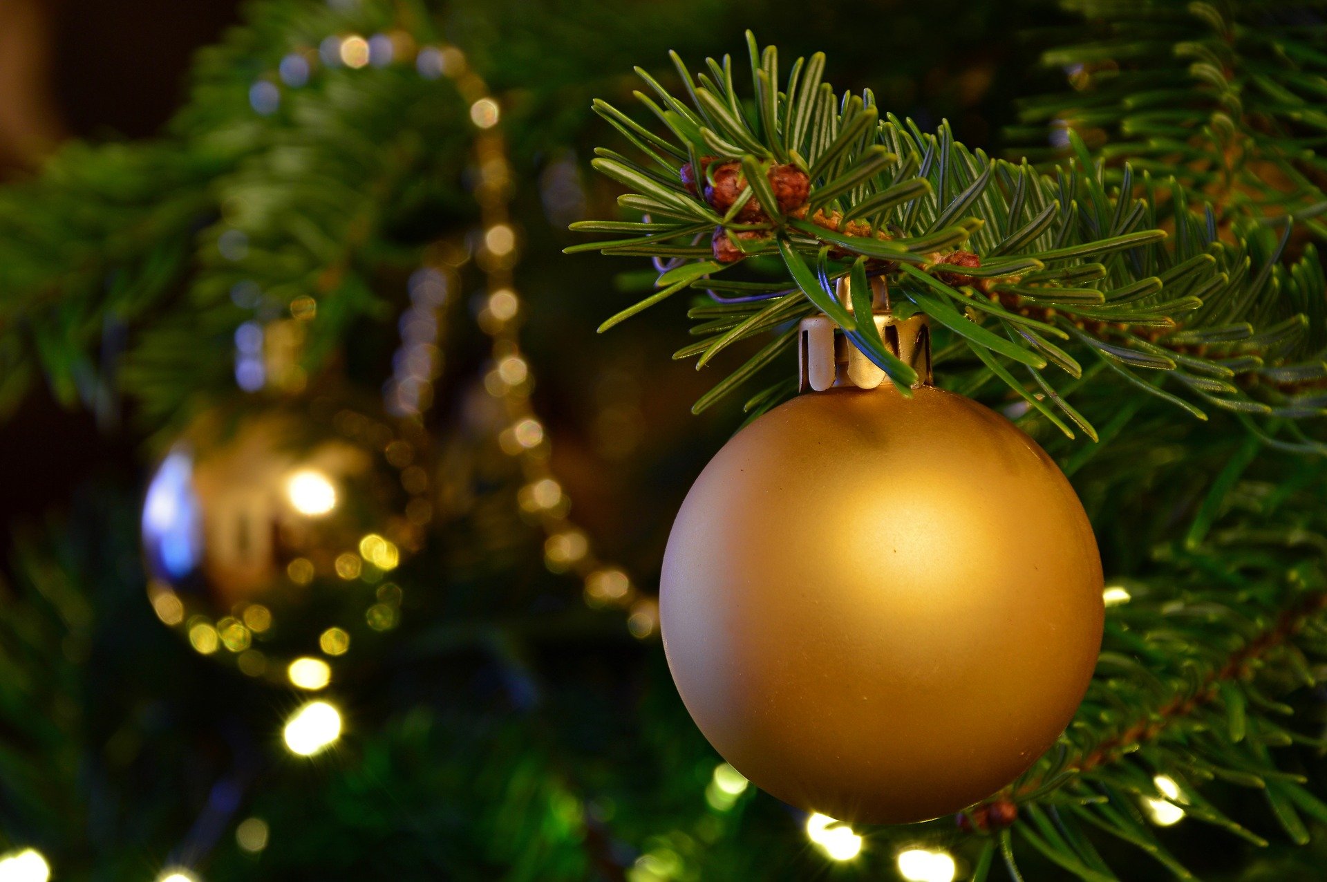 Vous pouvez acheter votre sapin de Noël à partir d'aujourd'hui !